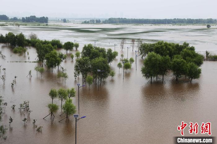 近期黑龙江干流松花江涨水，哈尔滨群力外滩湿地公园部分树木被淹。(资料片) 李文学 摄