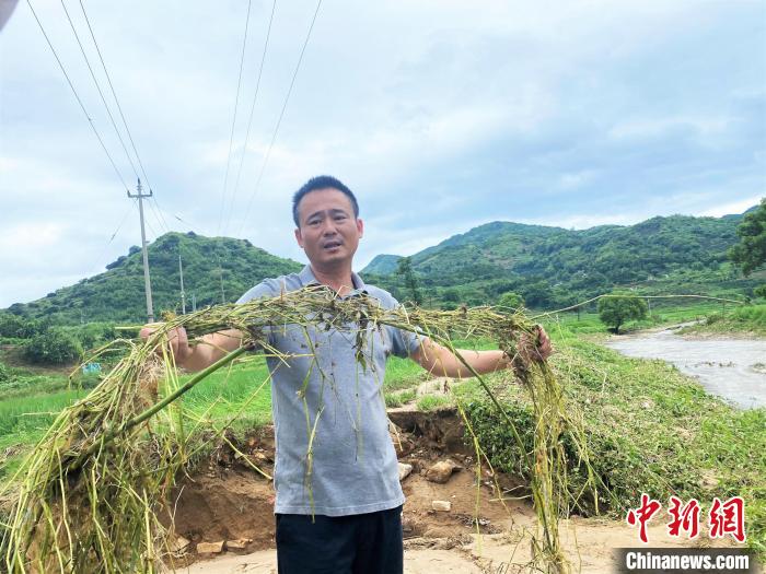 图为汤辉展示当时淤积的水草。　叶茂 摄