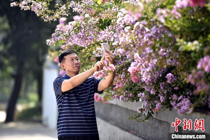 街道上种植的四季鲜花，引得路人拍照留念。　宋继昌 摄