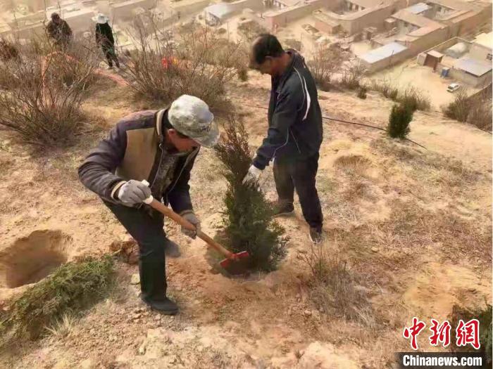 为了绿化山体，共同吃上“绿色饭”，永丰村干部与村民一同栽树。(资料图) 金德伟 摄