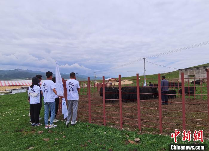 图为“恩来树人计划”乡村兽医专项调研团观察动物防疫员工作。　祁增蓓 摄