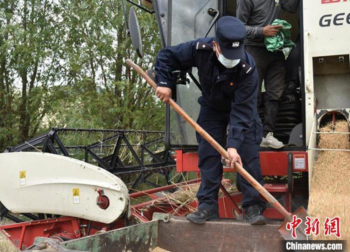 图为西藏自治区拉萨市才纳乡协荣村小麦收割现场。　拉萨出入境边防检查站供图