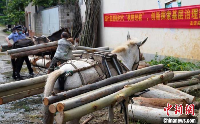 图为民警帮助民众生产生活 任海霞 摄