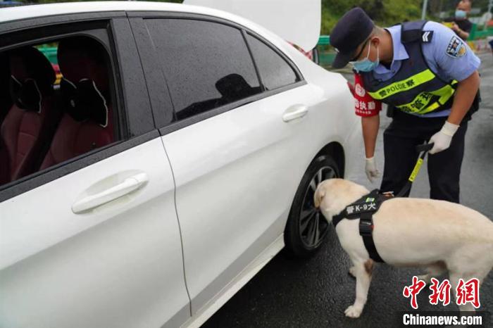 图为执勤民警带着搜毒犬对过往车辆进行检查 任海霞 摄