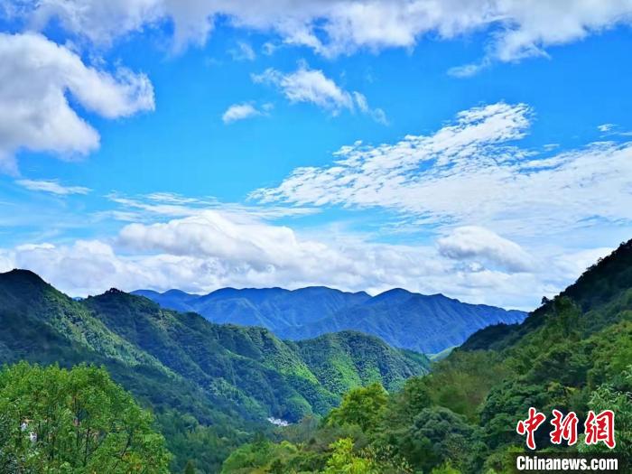 秋雨过后的黄山迎来湛蓝的天空 蔡季安 摄