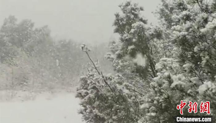 9月28日，“中国最冷小镇”迎来今秋首场降雪。　冯宏伟　摄