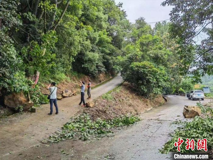 山路旁崩滑。　成理地灾防治国家重点实验室供图