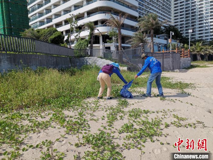 图为七旬“看海”夫妻正清理海洋垃圾。　惠州市委宣传部供图