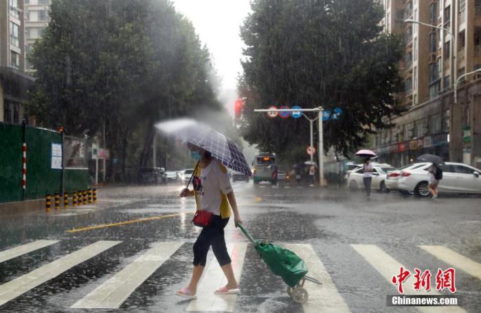 资料图：市民在大雨中出行。
中新社记者 张畅 摄