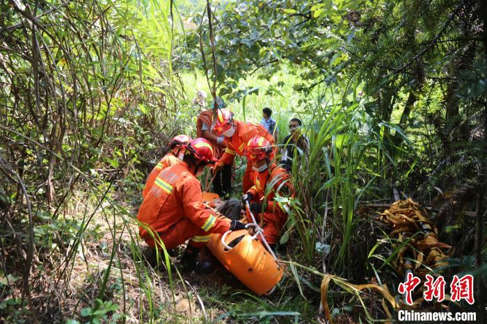 救援人员将受伤驴友固定在担架上 黄波萍 摄