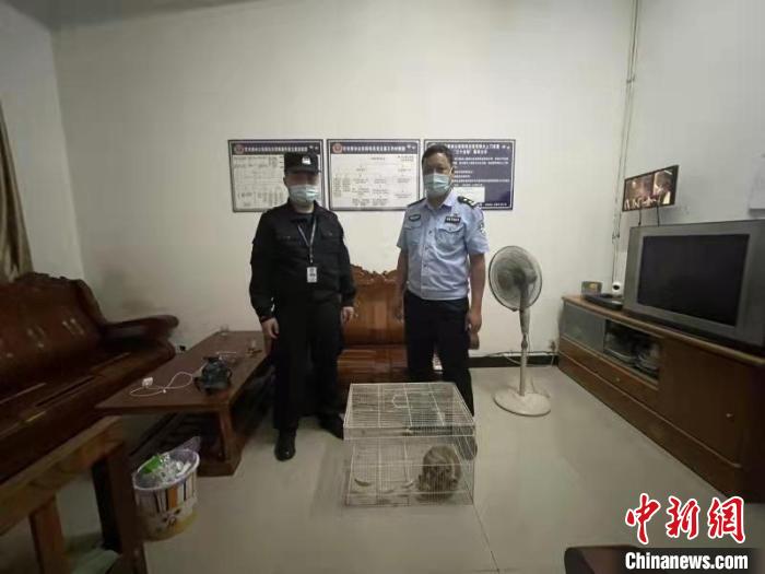 图为民警救助蜂猴。　德宏边境管理支队供图