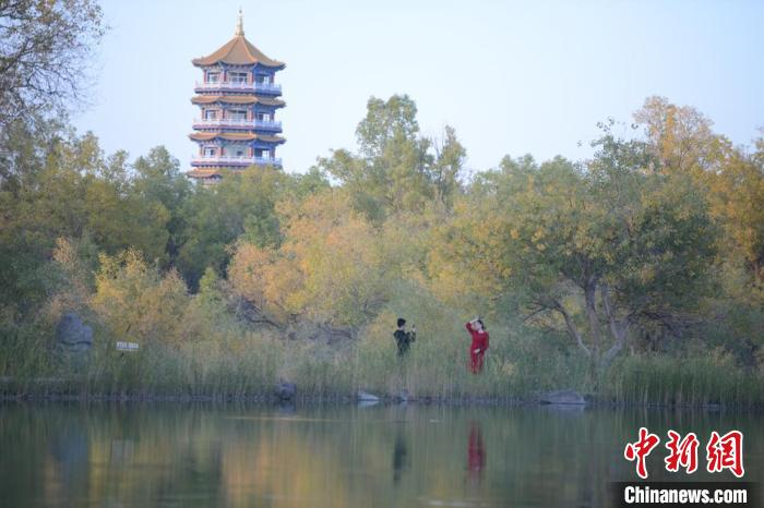 图为胡杨林风景如画。　李斌龙 摄