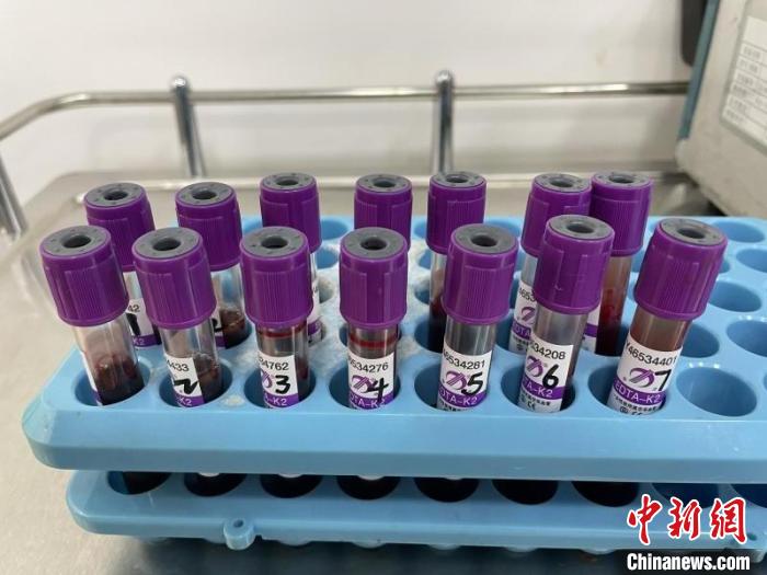 7名“00后”大学生“组团”捐献造血干细胞血样采集完成。　杨波 摄