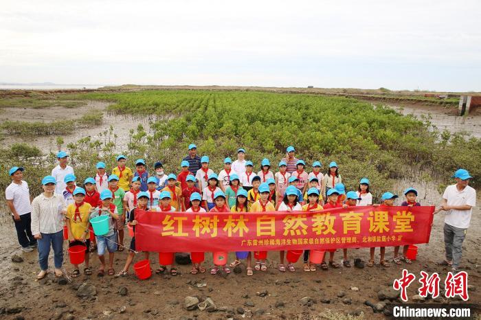 广东雷州珍稀海洋生物国家级自然保护区开展自然教育活动(资料图)。　广东省林业局 供图