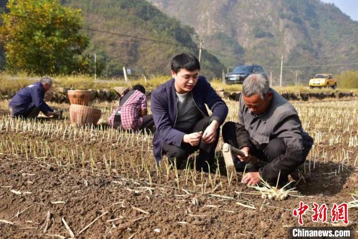 青年在建德深耕农业。　建德市委宣传部供图