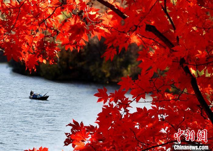 吉林市松花湖风景名胜区秋景。　主办方供图