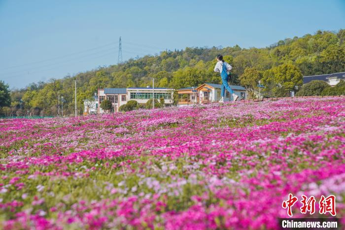 石燕湖景区美景。(资料图) 景区供图