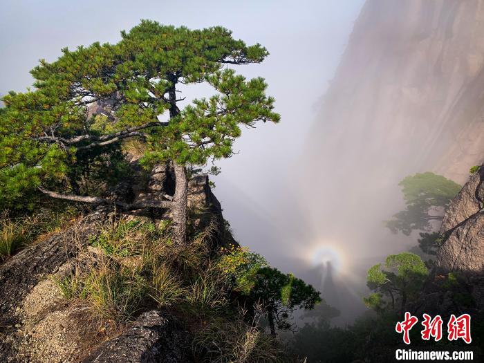 10月7日，安徽黄山云海中现“佛光”景观。　黄辉 摄