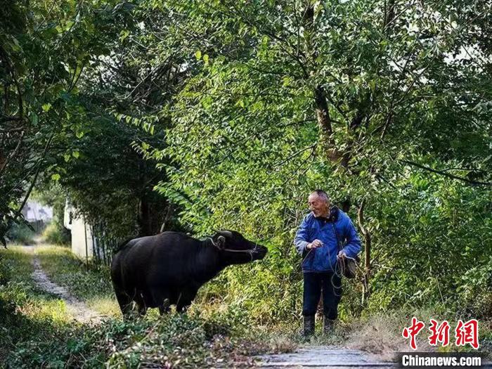 最佳图片摄影奖获奖者张勇作品《黄村印象》 张勇 摄