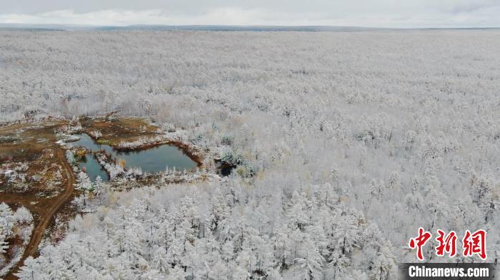 茂密的森林变成了冰雪世界。　邵廷 摄