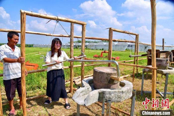 游客在广州增城区石滩万亩生态农业园区的世界幸福田园学习使用石磨 曾令华 摄