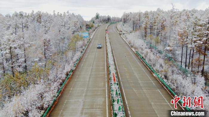 公路两旁的树枝上挂满了雪花。　邵廷 摄