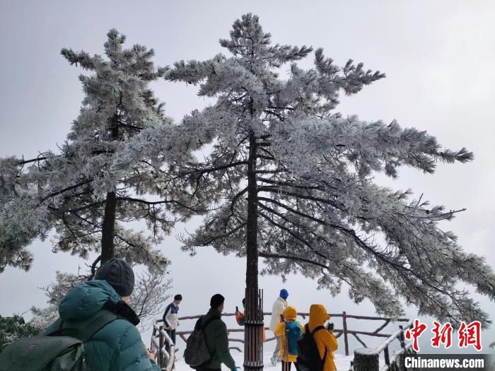 游客冒雪游览黄山。　程赐 摄