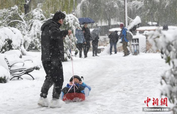 11月7日，市民在山东省济南市大明湖景区玩雪。当天是中国二十四节气中的“立冬”，济南迎来今冬首场降雪。 中新社记者 张勇 摄