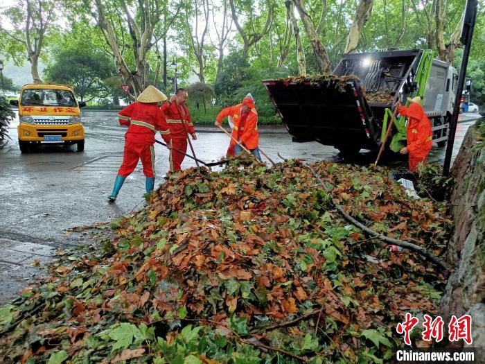 图为工作人员清理断枝植物。　西湖西溪景区供图