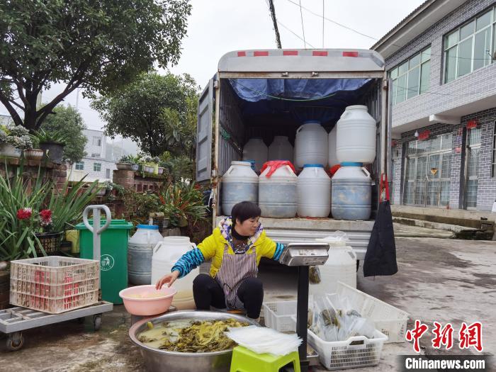 图为龙瑞请当地村民帮忙打包农家酸菜。　周燕玲 摄