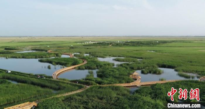 图为甘肃肃州区六分西湖湿地景区，绿草如茵。(资料图) 肃州区委宣传部供图