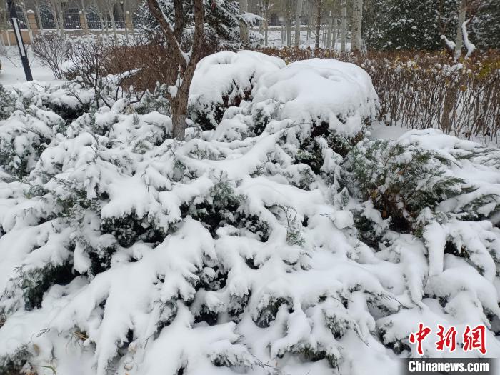 图为内蒙古城市雪景。　端木 摄