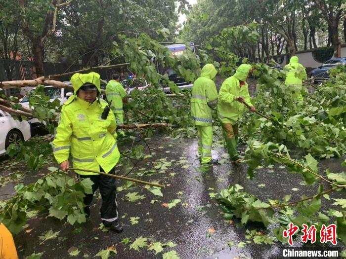 G1503绕城高速树木倒伏，警方协同相关部门清理处置。　上海金山警方供图