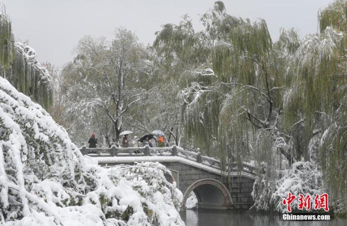 11月7日，市民在山东省济南市大明湖景区赏雪。当天是中国二十四节气中的“立冬”，济南迎来今冬首场降雪。 中新社记者 张勇 摄