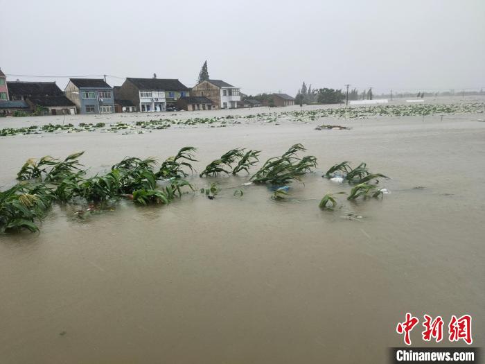 台风登陆浙江期间带来严重影响。　王逸飞 摄