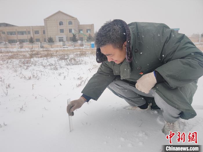 图为内蒙古各地降雪后的情形。　内蒙古气象局供图