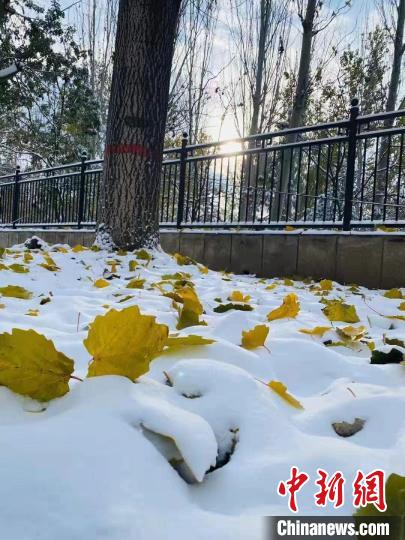 山西发布暴雪橙色预警，多地迎来今冬第一场雪。　网友供图