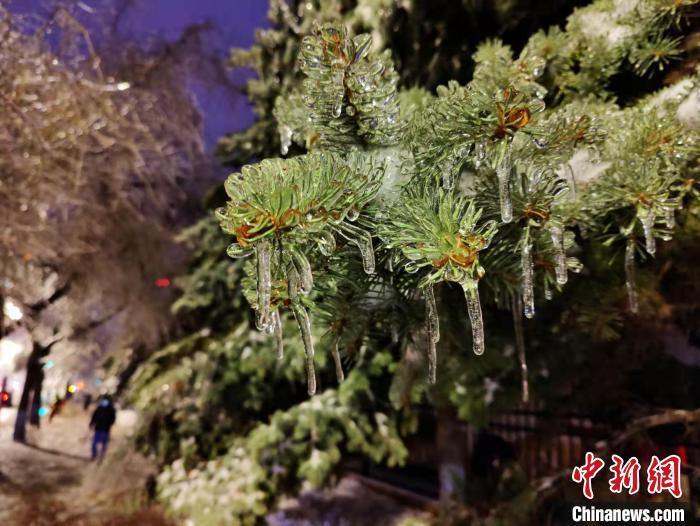 行人冒雨回家。　姜辉 摄