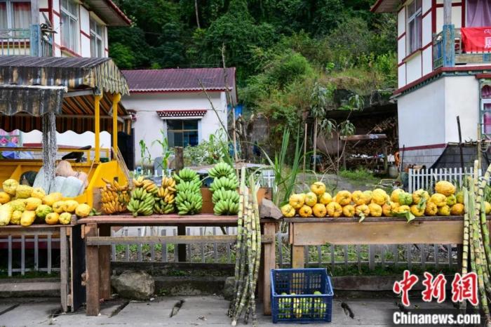 墨脱公路沿线，百姓摆摊销售当地物产，包含香蕉、甘蔗、柠檬等。(中新社记者 贡嘎来松 摄)