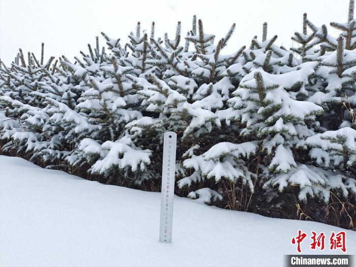 图为内蒙古各地降雪后的情形。　内蒙古气象局供图