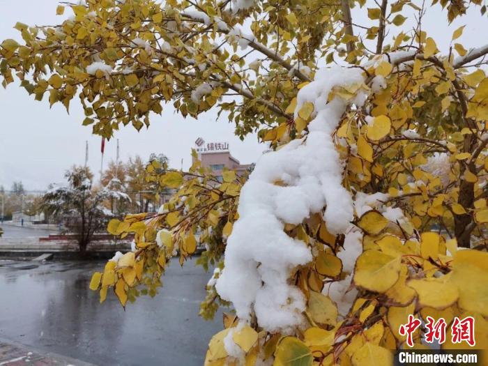 资料图： 图为青海海西州大柴旦降雪。　刘明 摄