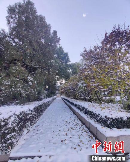 经过一整夜的降雪，7日的太原银装素裹。　网友供图