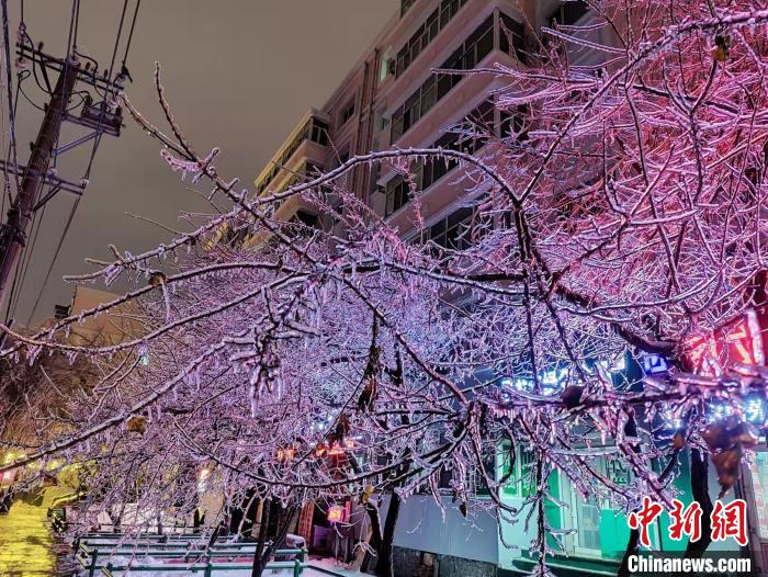 黑龙江进入暴雪二级应急响应状态。　姜辉 摄