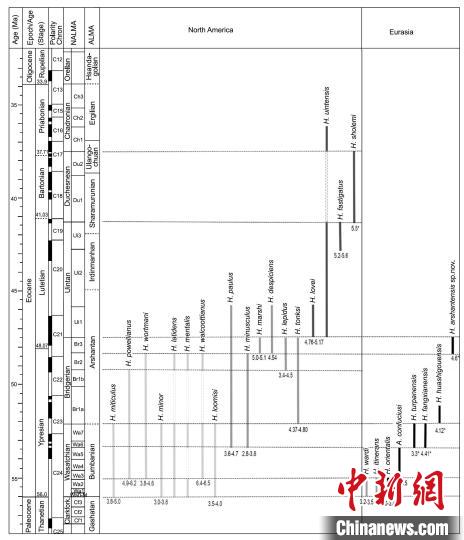 豕齿兽在北美和欧亚大陆的地史分布。　中科院古脊椎所 供图