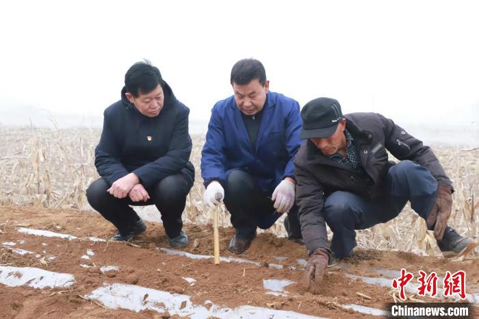 仲冬时节，正值北方地区传统农闲季节，而在山西省长治市潞城区的农田里，却呈现一派繁忙景象。　潞城区融媒体中心供图