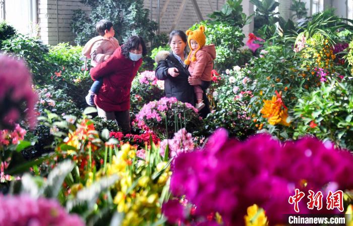 市民在花卉市场挑选鲜花。　马楠 摄