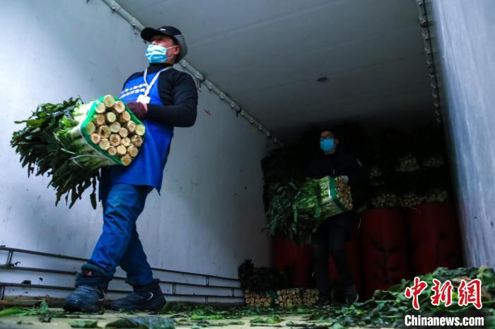 宁波农副中心调配蔬菜。　奉新供图