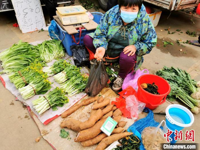 冬日在台城美琴市场提供给菜农临时设摊处，可买到当地出产的木薯、猪仔薯、鸡爪芋、狗爪芋等 李晓春 摄