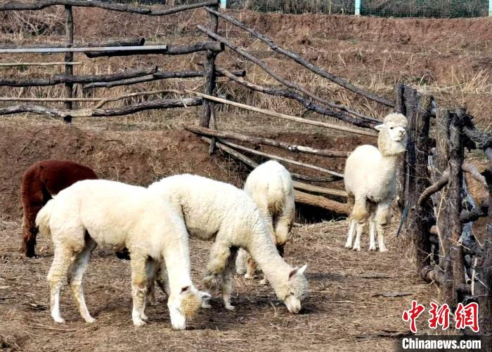 襄阳野生动物园一角 胡传林 摄