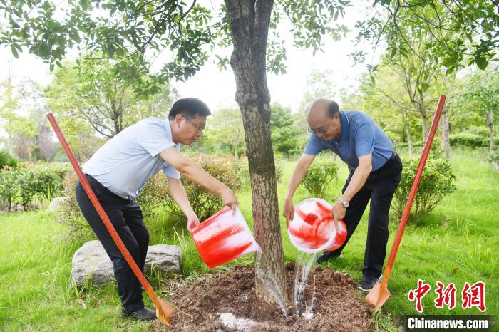 吴正德(右一)为自己在黑龙凼水库种下的树浇水。　张浪 　摄